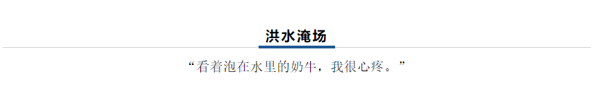 【乳報·聚焦】“豫”難而上的中原牛人“太中了”！