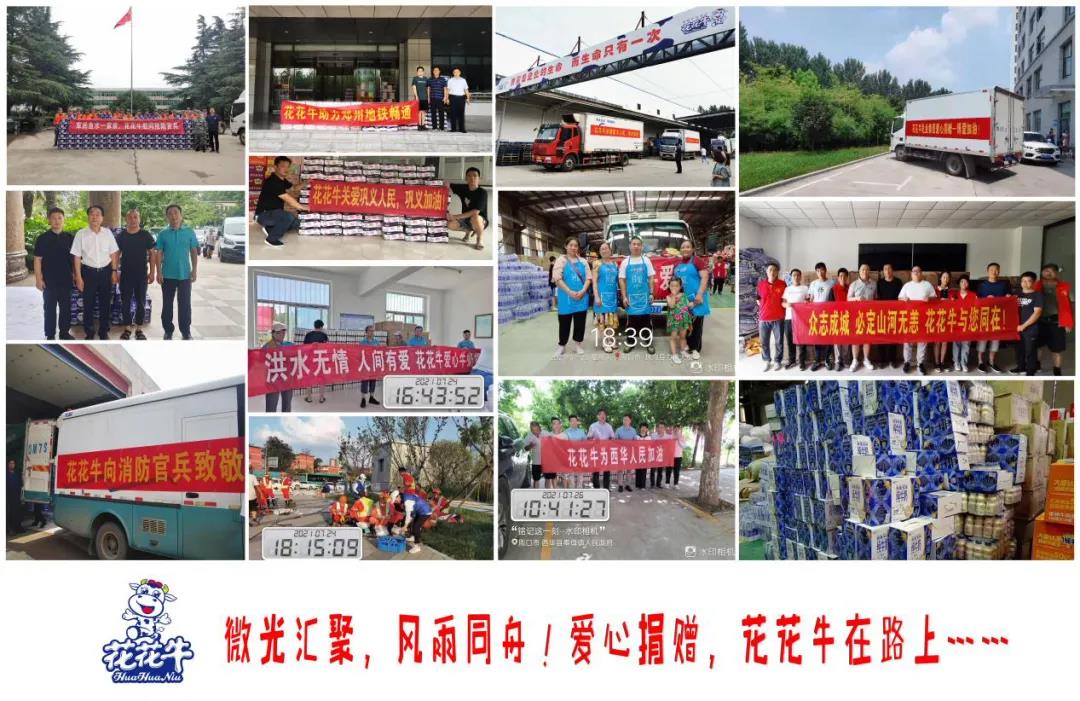 【乳報·聚焦】“豫”難而上的中原牛人“太中了”！