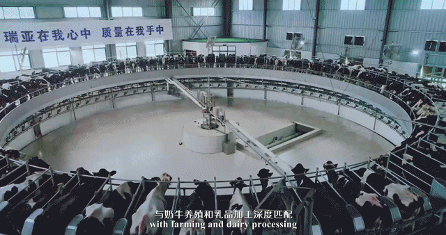 快訊 | 河南省委常委、省紀(jì)委書記、省監(jiān)委主任任正曉蒞臨花花牛乳業(yè)集團(tuán)新蔡瑞亞牧場(chǎng)調(diào)研