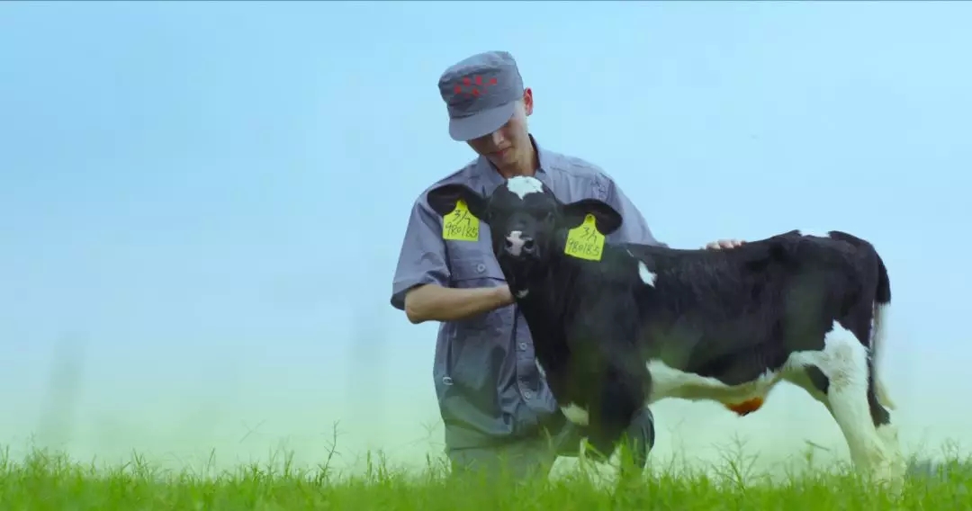 喜報 | 國家市場監管總局抽檢，花花牛等112家企業乳品抽檢全部合格